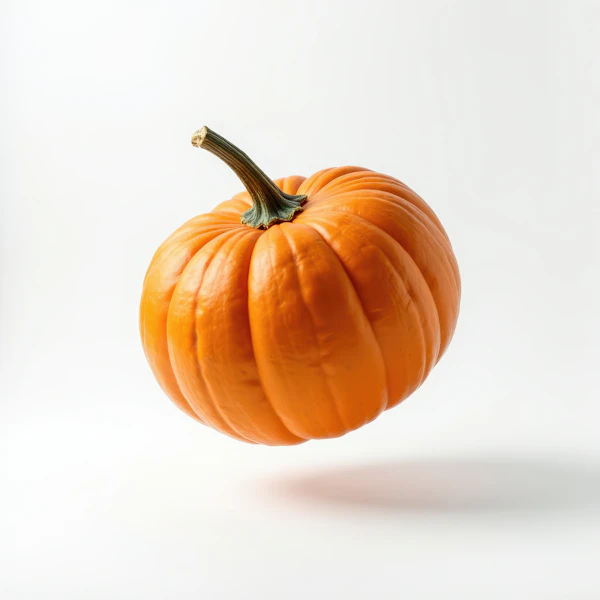 Vibrant Orange Pumpkin
