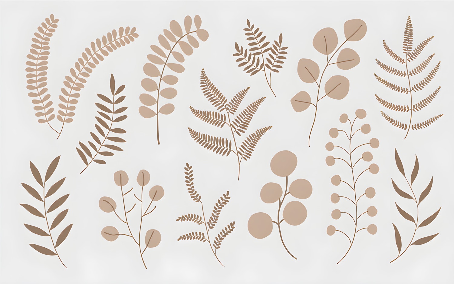 Botanical Illustrations Artwork