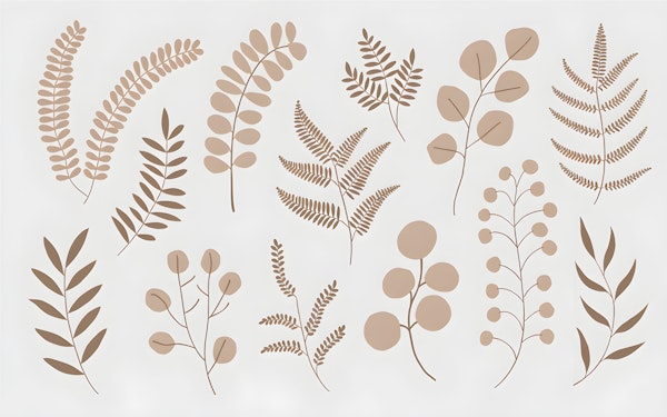 Botanical Illustrations Artwork