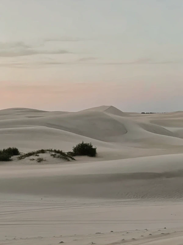 Serene Desert Landscape