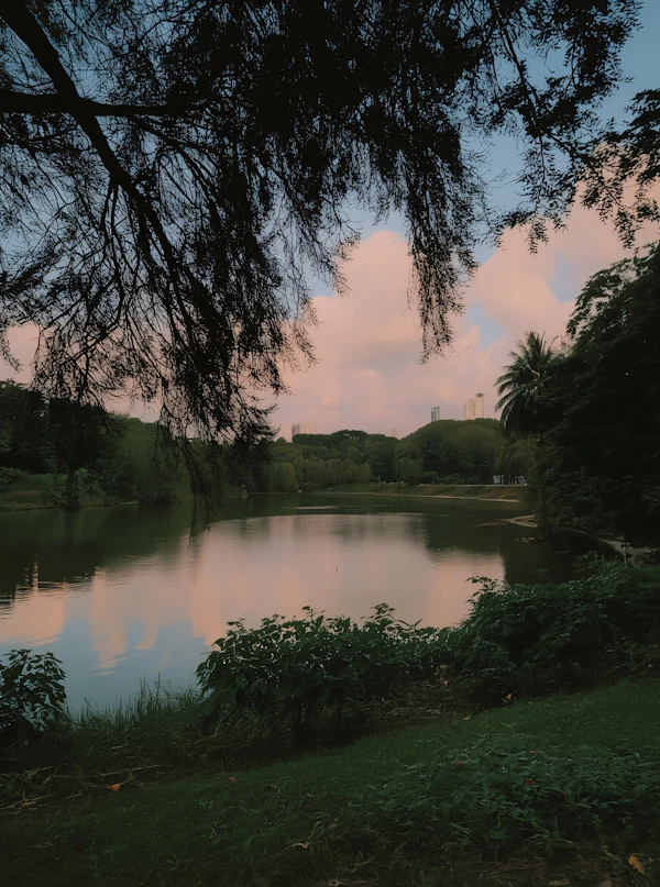 Serene Park Sunset