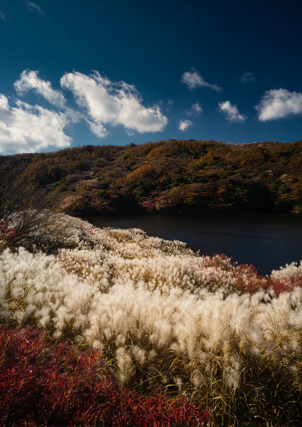 Autumn Lake Serenity
