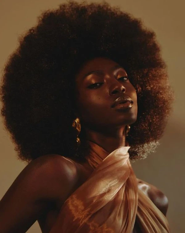 Elegant Afro Portrait