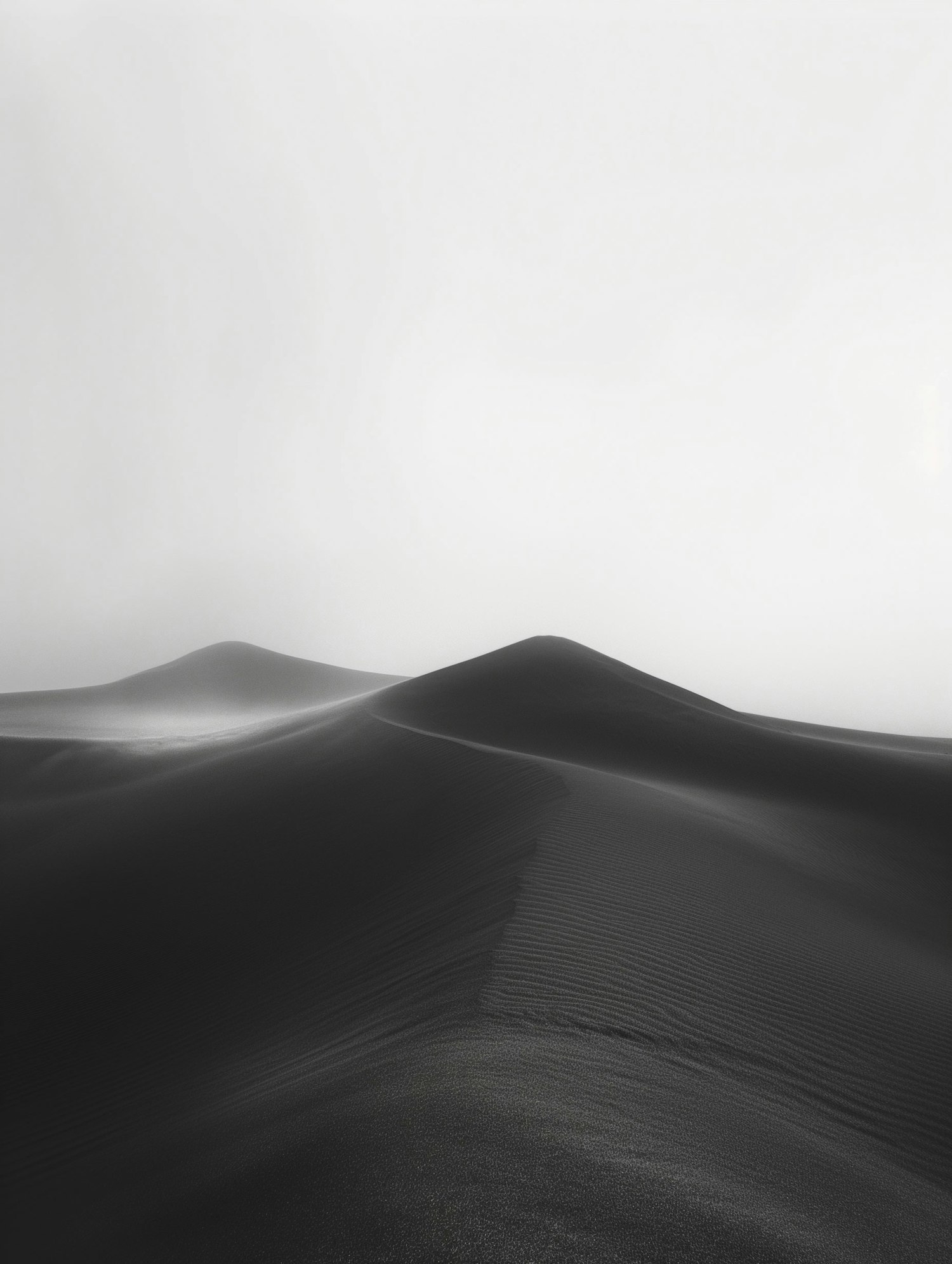 Monochromatic Dune Landscape