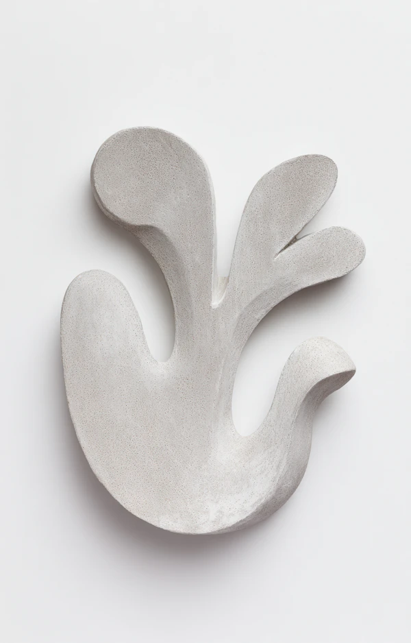 Abstract Organic Sculpture