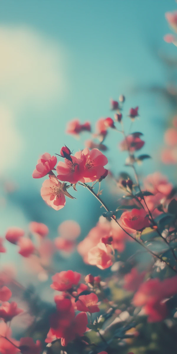 Vibrant Pink Flowers in Bloom