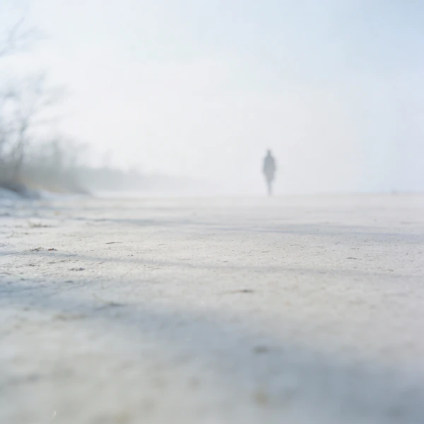 Winter Solitude Scene