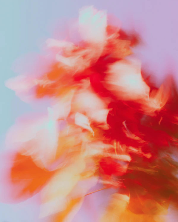 Vibrant Color Swirl