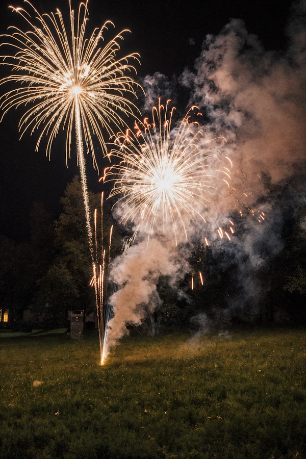 Fireworks in Night Sky