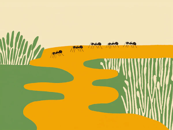 Ants on Artistic Path