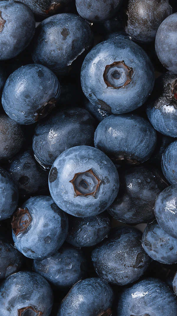 Fresh Blueberries Close-Up