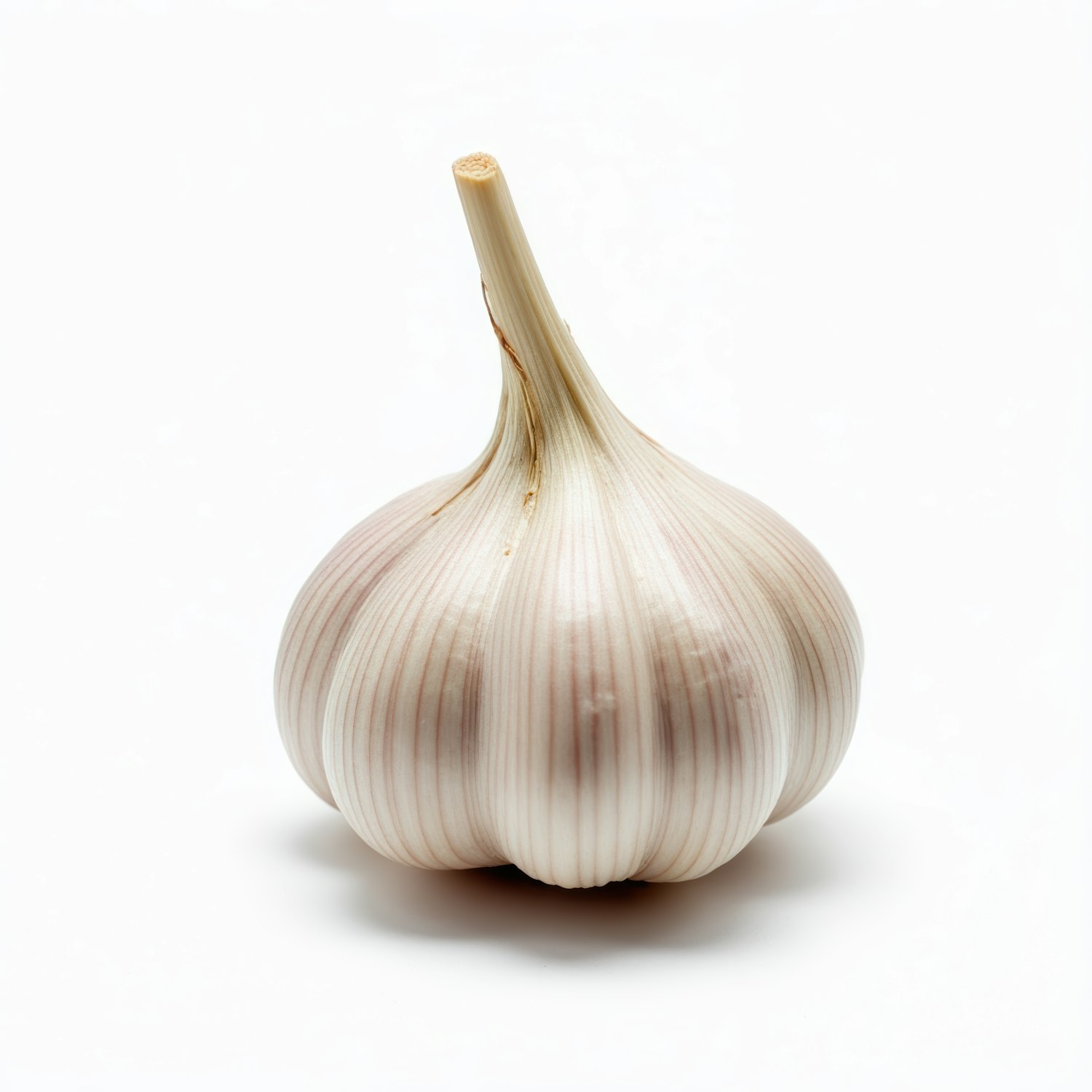 Garlic Bulb on White Background