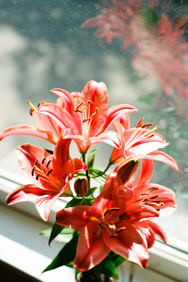 Pink Lily Bouquet