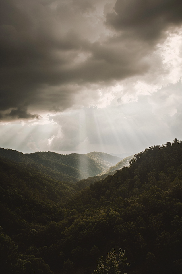 Serene Landscape of Rolling Hills