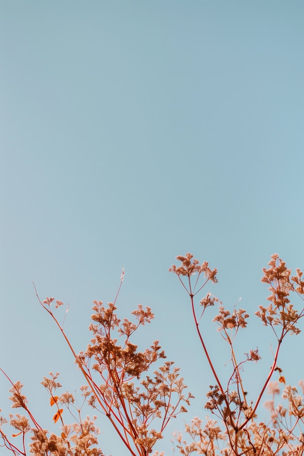 Serene Nature Scene with Floral Clusters