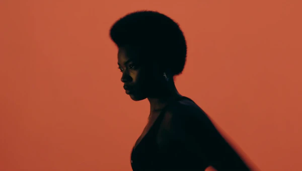 Profile Silhouette Portrait