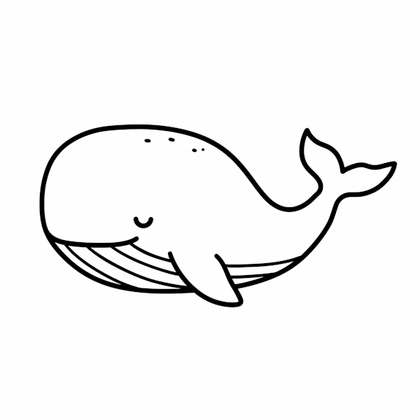Cartoon Whale Drawing
