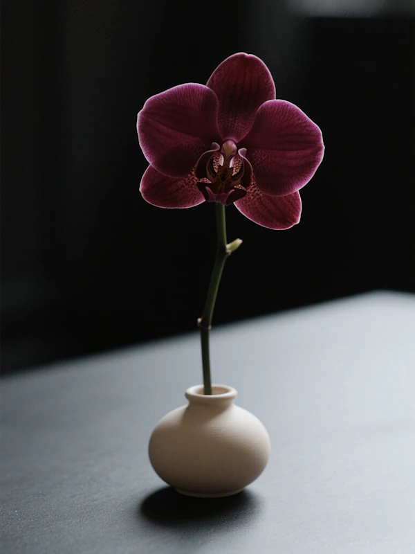 Purple Orchid in Vase