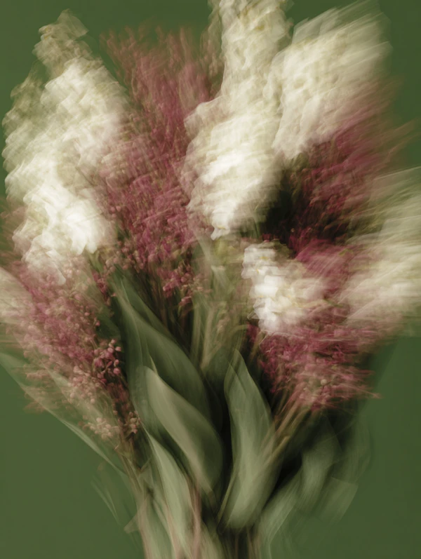 Dreamy Floral Blur