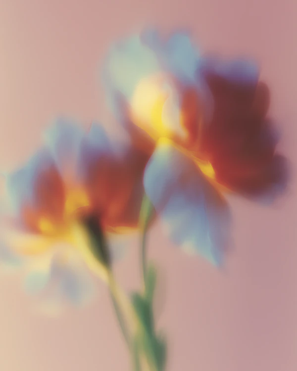 Vibrant Floral Art