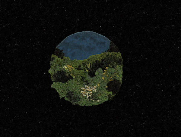 Circular Forest Artwork