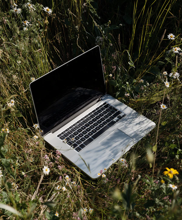 Laptop in Nature