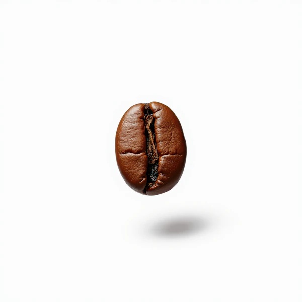 Single Coffee Bean on White Background