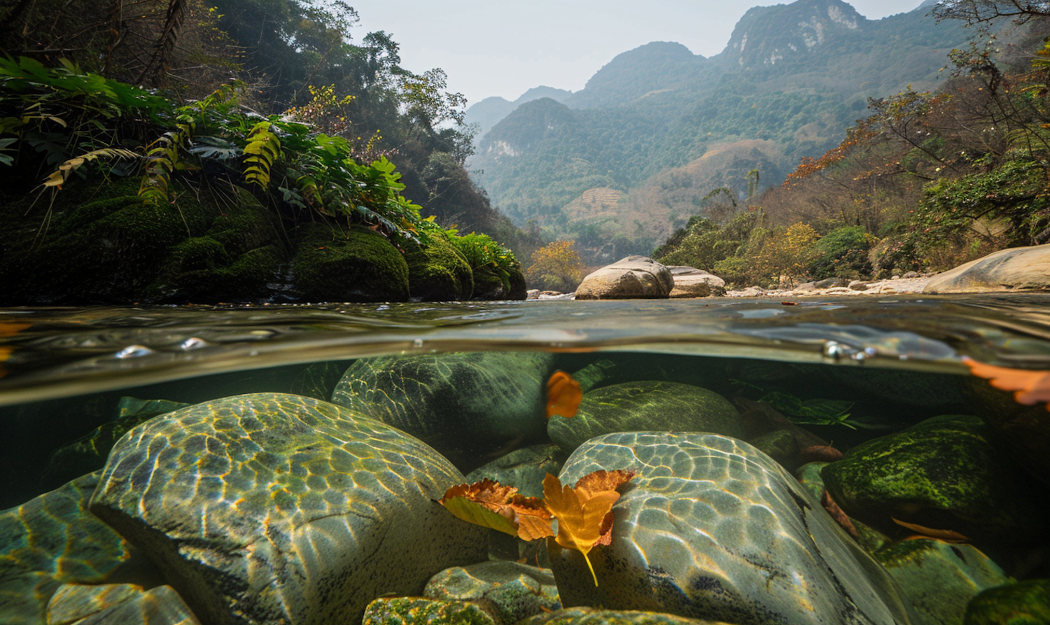 Serene Split View of Nature