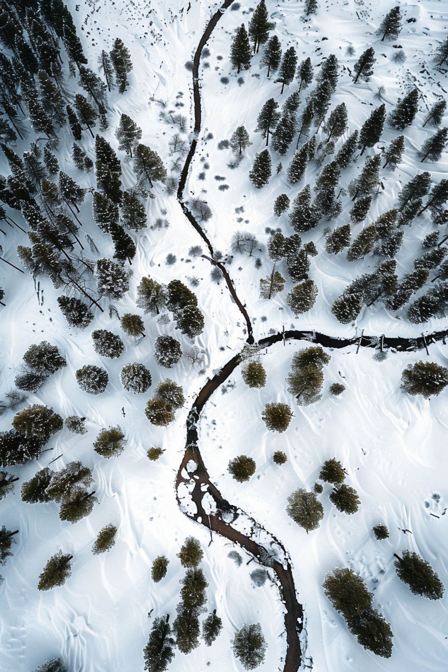 Aerial Winter Wonderland