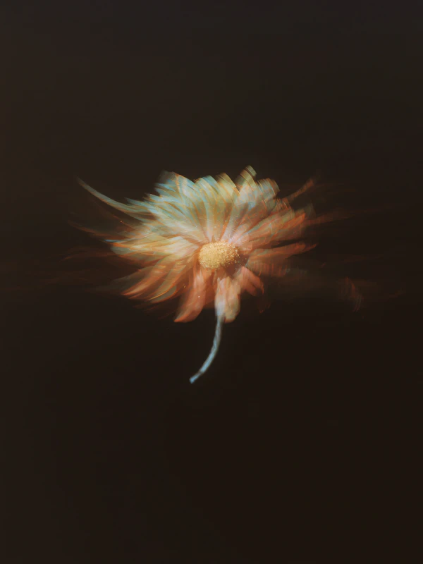 Ethereal Flower Art