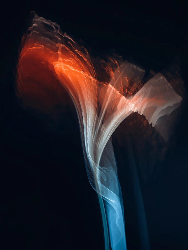 Vibrant Light Trails