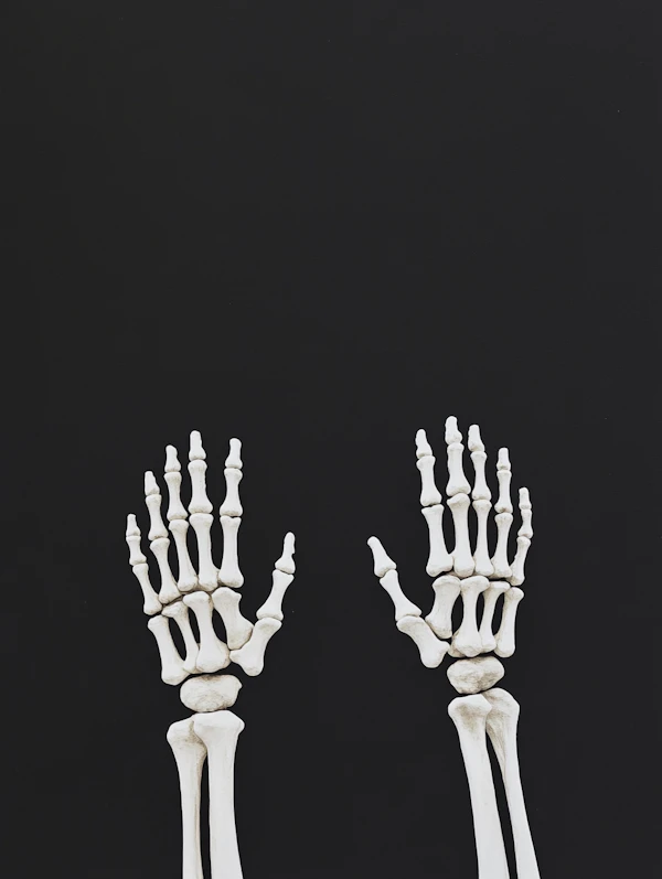 Skeletal Hands on Black Background