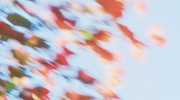 Abstract Nature Motion