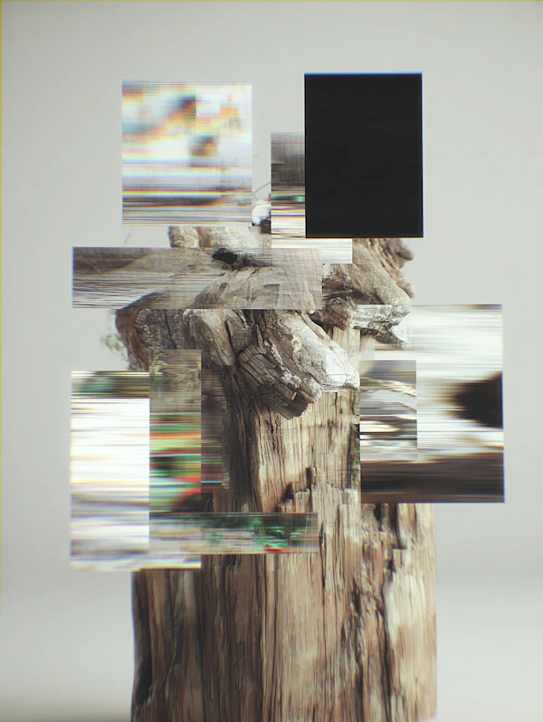 Surreal Wooden Stump