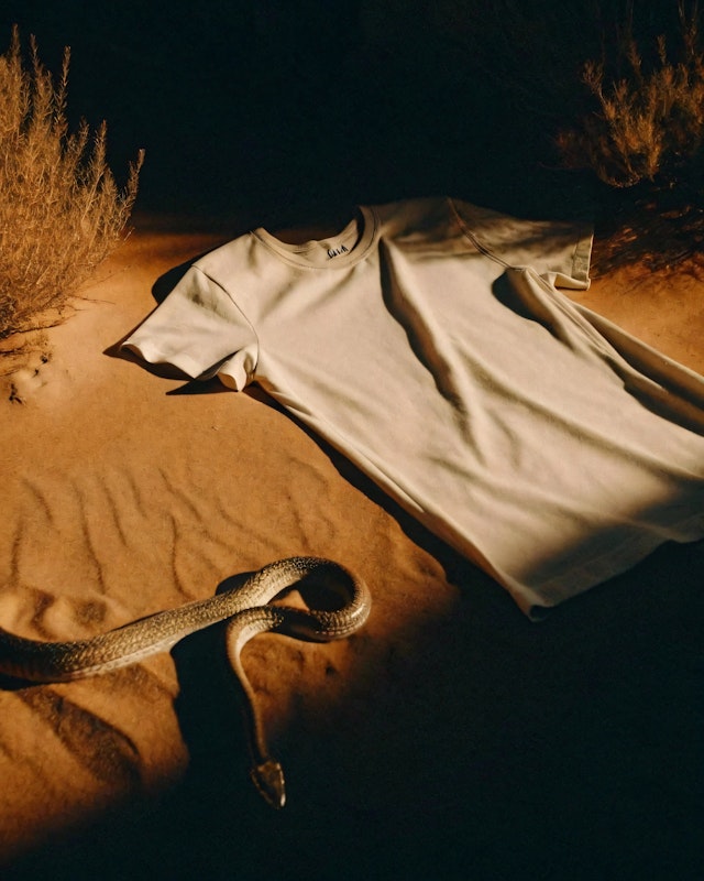 T-shirt and Snake in Desert