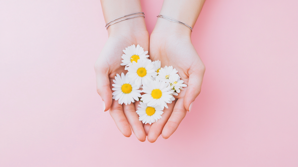 Hands Holding Daisies