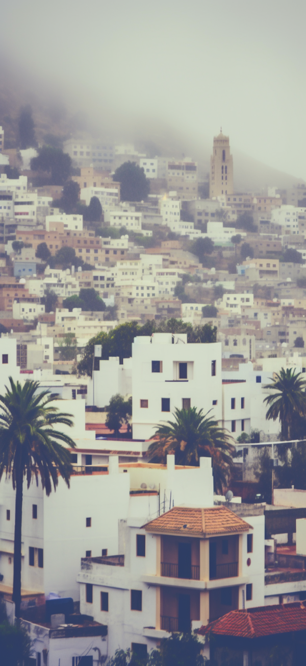 Mediterranean Hillside Town with Minaret