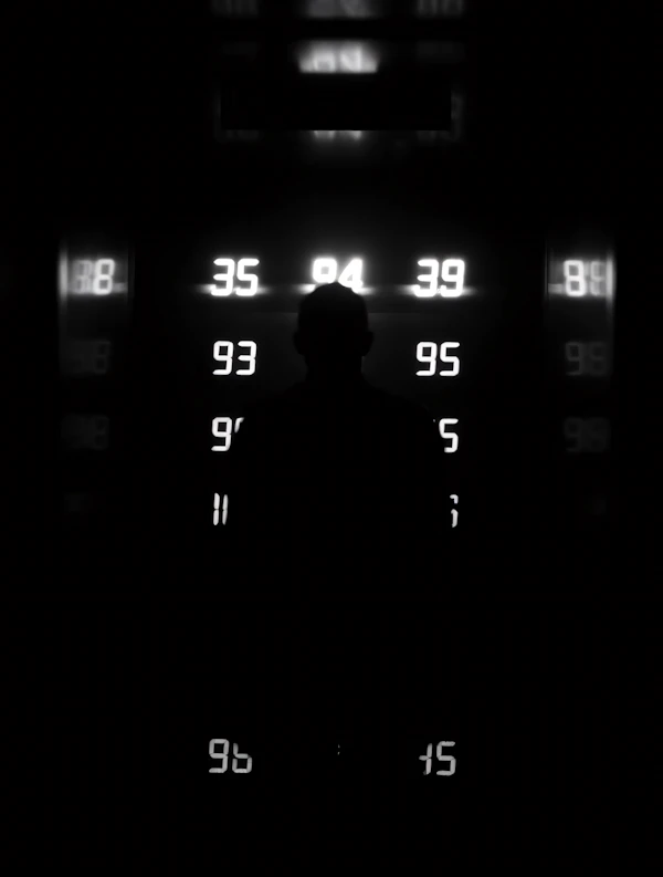 Silhouette with Numbers