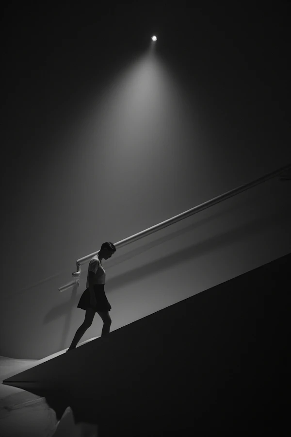 Minimalist Silhouette