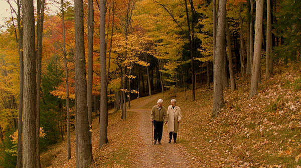 Elderly Stroll in Autumn Forest
