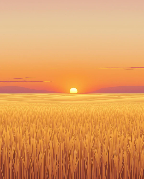 Sunset over Wheat Field