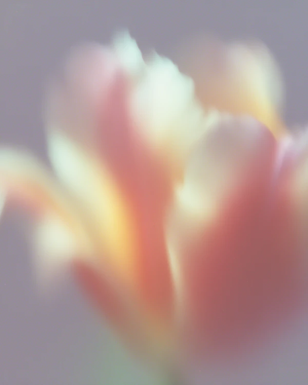Ethereal Flower Glow