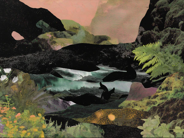 Surreal Nature Collage
