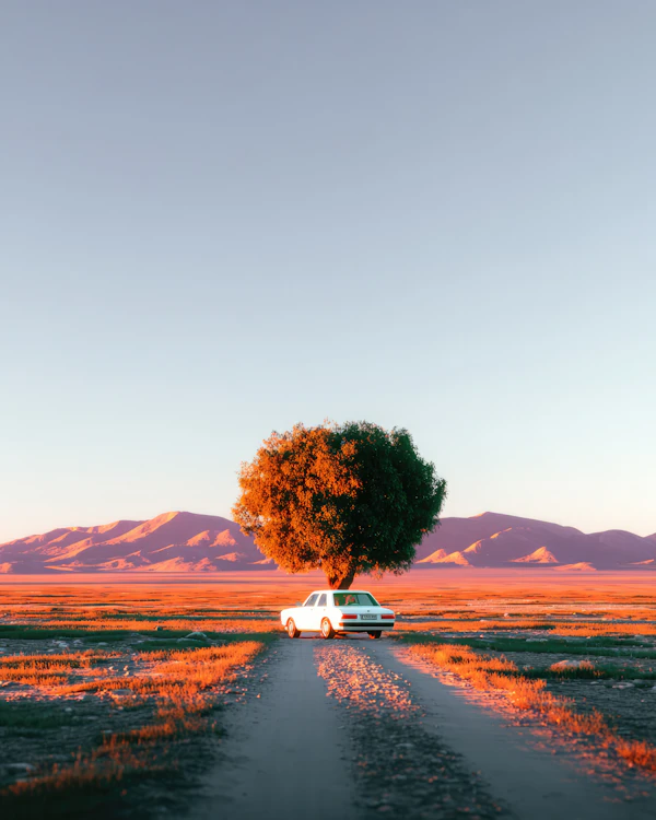 Golden Hour Serenity