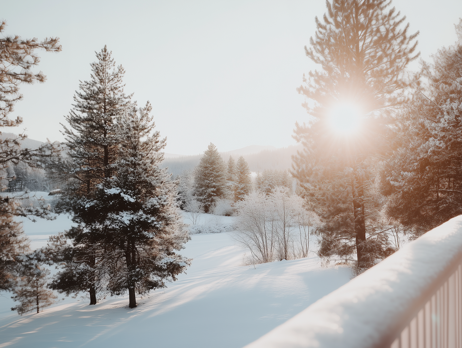 Serene Winter Landscape