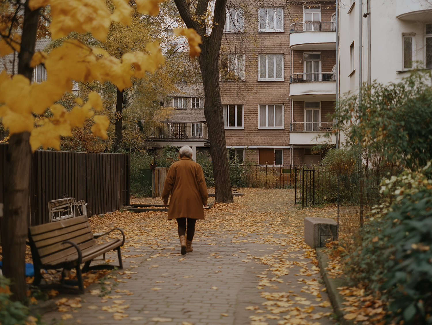 Serene Autumn Walk