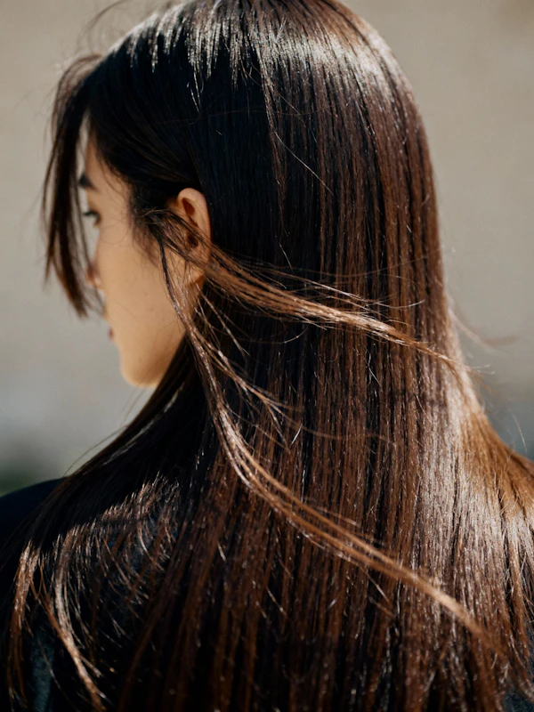 Shiny Brown Hair Profile