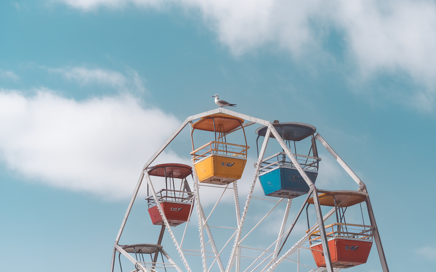 Solitary Seagull on Colorful Ferris Wheel