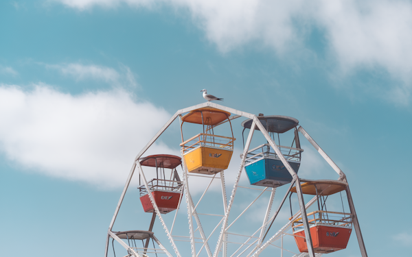 Solitary Seagull on Colorful Ferris Wheel