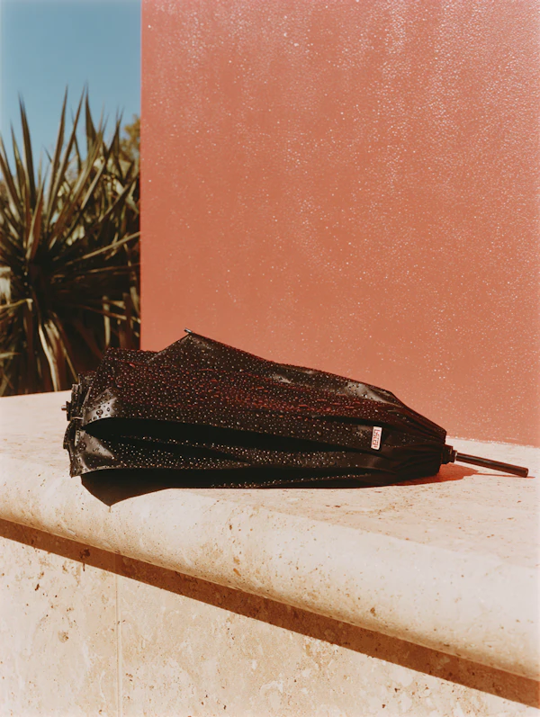 Umbrella on Stone